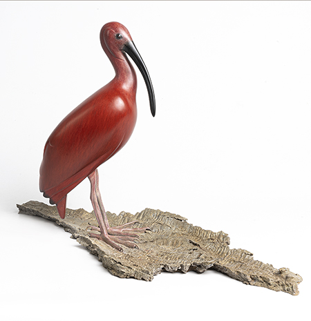 ibis mark dedrie homepage
