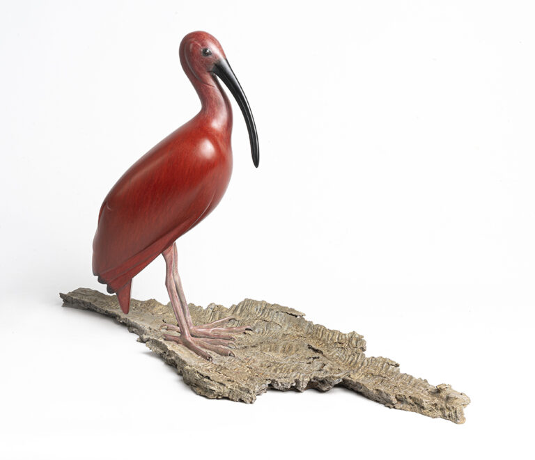 ibis mark dedrie online